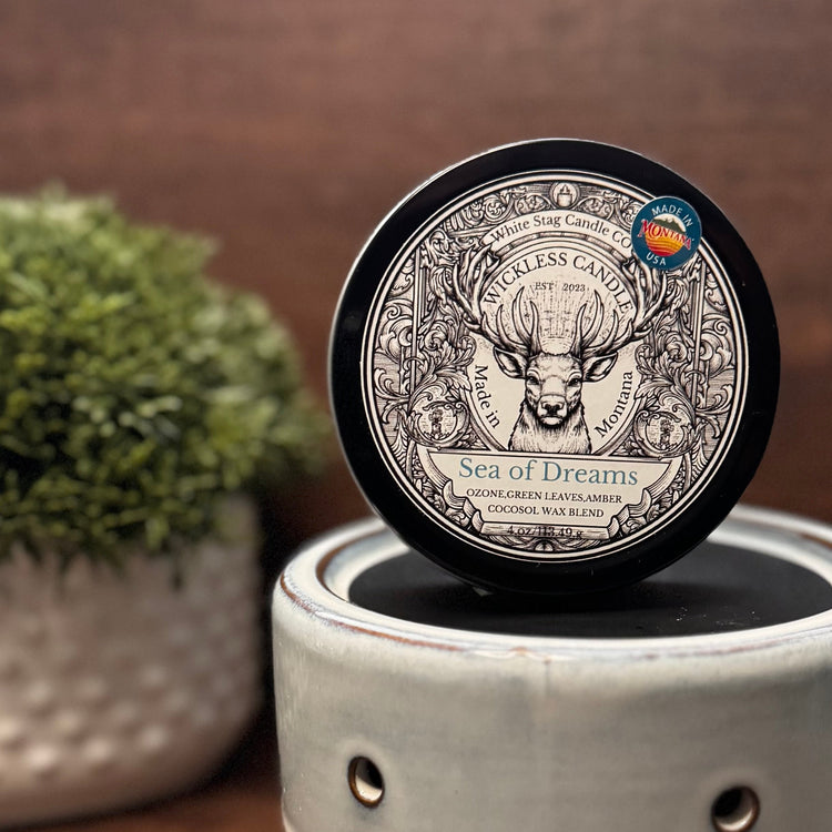 Wickless Candle Collection